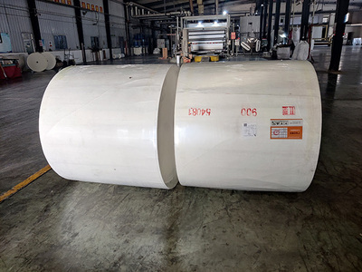 長纖聚脂胎得到快速發(fā)展是必然的趨勢(shì)