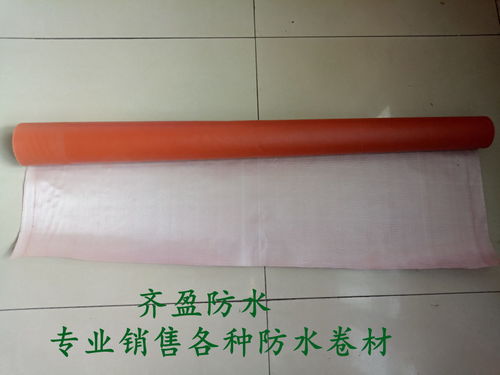  鹽津縣 js防水乳液齊盈防水